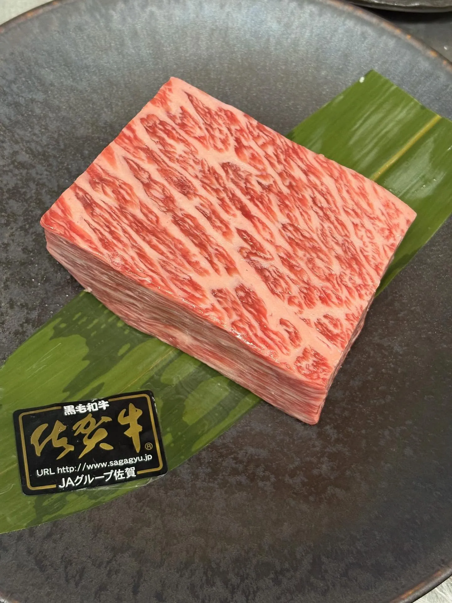 🍁✨ 秋のおすすめ × 人気ランキング ✨🍁