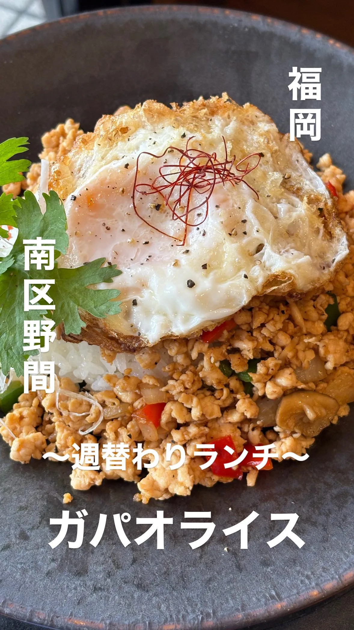 〜今週の週替わりランチ〜