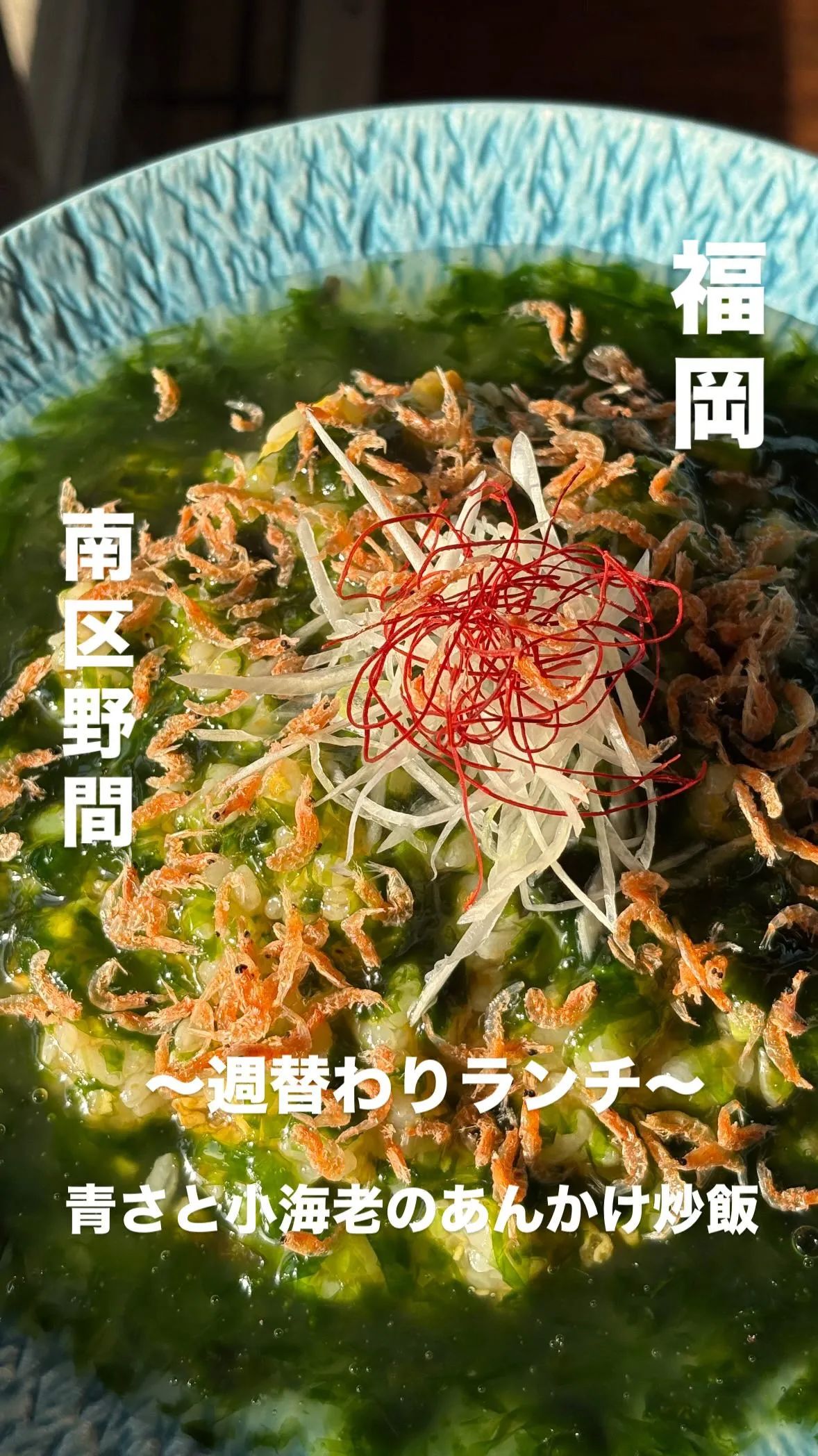 🍽️✨ 週替わりランチ ✨🍽️